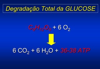 Degradação Total da GLUCOSE


      C6H12O6 + 6 O2


  6 CO2 + 6 H2O + 36-38 ATP
 