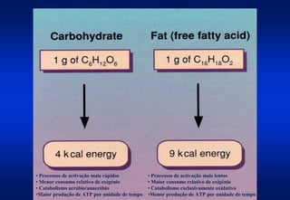 • Processos de activação mais rápidos         • Processos de activação mais lentos
• Menor consumo relativo de oxigénio          • Maior consumo relativo de oxigénio
• Catabolismo aeróbio/anaeróbio               • Catabolismo exclusivamente oxidativo
•Maior produção de ATP por unidade de tempo   •Menor produção de ATP por unidade de tempo
 