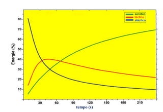aeróbio
            láctico
            aláctico




tempo (s)
 