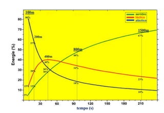 100m                              aeróbio
80%                               láctico
                                  aláctico


                                   1500m
                                   67%
       200m
     57%

                     800m
                     48%
              400m
              40%

                     34%
              30%
     28%      30%


                                   23%
                     18%
15% 15%

                                   10%
5%




                      tempo (s)
 