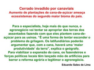 Cerrado invadido por canaviais
Aumento de plantações de cana-de-açúcar ameaça
ecossistemas do segundo maior bioma do país.
Para o especialista, hoje mais do que nunca, o
agronegócio vai tentar se apropriar das terras dos
assentados fazendo com que eles plantem cana-de-
açúcar para as usinas. “É uma forma de tentar esconder o
problema da grilagem. Os latifundiários poderão
argumentar que, com a cana, haverá uma ‘maior
produtividade’ da terra”, explica o geógrafo.
Para viabilizar a expansão da cana, os fazendeiros e
forças políticas locais têm lançado mão de artifícios para
barrar a reforma agrária e legitimar o agronegócio.
Eduardo Sales de Lima
 