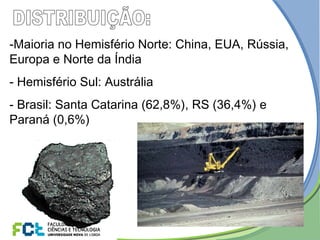 -Maioria no Hemisfério Norte: China, EUA, Rússia,
Europa e Norte da Índia
- Hemisfério Sul: Austrália
- Brasil: Santa Catarina (62,8%), RS (36,4%) e
Paraná (0,6%)
 