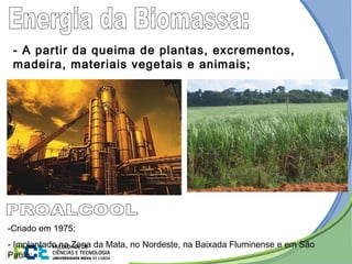 - A partir da queima de plantas, excrementos,
madeira, materiais vegetais e animais;
-Criado em 1975;
- Implantado na Zona da Mata, no Nordeste, na Baixada Fluminense e em São
Paulo;
 