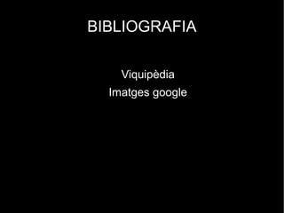 BIBLIOGRAFIA

    Viquipèdia
  Imatges google
 