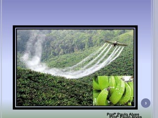 3
Profº Paulo Alves
 