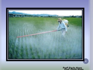 4
Profº Paulo Alves
 