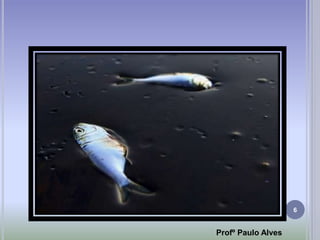 6
Profº Paulo Alves
 