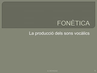 FONÈTICA La producciódelssonsvocàlics 1 A. BOHIGAS 