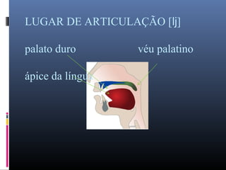 LUGAR DE ARTICULAÇÃO [ ]ǉ
palato duro véu palatino
ápice da língua
 