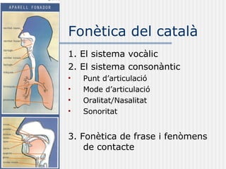 Fonètica del català <ul><li>1. El sistema vocàlic </li></ul><ul><li>2. El sistema consonàntic </li></ul><ul><li>Punt d’art...