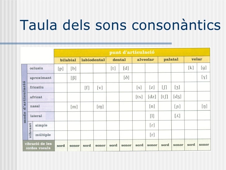 Taula dels sons consonàntics 