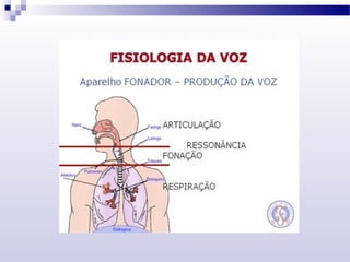 Fonética e fonologia
