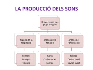 Fonètica i fonologia. llengua catalana. pptx
