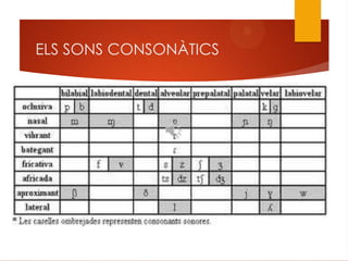 ELS SONS CONSONÀTICS
 