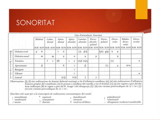 SONORITAT
 