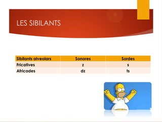 LES SIBILANTS
Sibilants alveolars Sonores Sordes
Fricatives z s
Africades dz ts
 