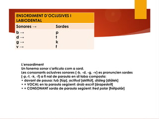 ENSORDIMENT D‟OCLUSIVES I
LABIODENTAL
Sonores → Sordes
b →
d →
g →
v →
p
t
k
f
L‟ensordiment
Un fonema sonor s‟articula com a sord.
Les consonants oclusives sonores (-b, -d, -g, -v) es pronuncien sordes
(-p,-t, -k, -f) a fi nal de paraula en síl·laba composta:
• davant de pausa: tub [túp], actitud [aktitút], diàleg [diálek]
• + VOCAL en la paraula següent: árab escrit [árapeskrít]
• + CONSONANT sorda de paraula següent: fred polar [frétpolár]
 