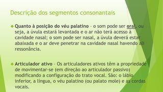 Descrição dos segmentos consonantais 
 Quanto à posição do véu palatino – o som pode ser oral, ou 
seja, a úvula estará levantada e o ar não terá acesso à 
cavidade nasal; o som pode ser nasal, a úvula deverá estar 
abaixada e o ar deve penetrar na cavidade nasal havendo ali 
ressonância. 
 Articulador ativo – Os articuladores ativos têm a propriedade 
de movimentar-se (em direção ao articulador passivo) 
modificando a configuração do trato vocal. São: o lábio 
inferior, a língua, o véu palatino (ou palato mole) e as cordas 
vocais. 
 