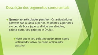 Descrição dos segmentos consonantais 
 Quanto ao articulador passivo – Os articuladores 
passivos são o lábio superior, os dentes superiores 
e o céu da boca (que se divide em alvéolos, 
palato duro, véu palatino e úvula). 
Note que o véu palatino pode atuar como 
articulador ativo ou como articulador 
passivo. 
 
