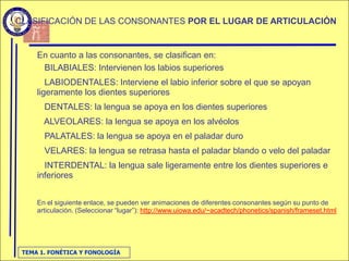 FonéTica Y FonologíA