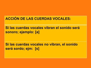 ACCIÓN DE LAS CUERDAS VOCALES:

Si las cuerdas vocales vibran el sonido será
sonoro; ejemplo: [a]


Si las cuerdas vocales no vibran, el sonido
será sordo; ejm: [s]
 