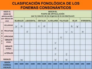 CLASIFICACIÓN FONOLÓGICA DE LOS
   FONEMAS CONSONÁNTICOS
 