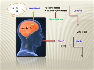 FONEMAS
/a/; /b/; /k/
FONO
n o
•Segmentales
• Suprasegmentales Lengua
Habla
Ortología
Prosodemas
24 5
19
 