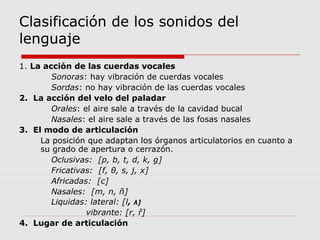 Clasificación de los sonidos del
lenguaje
1. La acción de las cuerdas vocales
Sonoras: hay vibración de cuerdas vocales
Sordas: no hay vibración de las cuerdas vocales
2. La acción del velo del paladar
Orales: el aire sale a través de la cavidad bucal
Nasales: el aire sale a través de las fosas nasales
3. El modo de articulación
La posición que adaptan los órganos articulatorios en cuanto a
su grado de apertura o cerrazón.
Oclusivas: [p, b, t, d, k, g]
Fricativas: [f, θ, s, j, x]
Africadas: [c]
Nasales: [m, n, ñ]
Liquidas: lateral: [l, λ]
vibrante: [r, ř]
4. Lugar de articulación
 