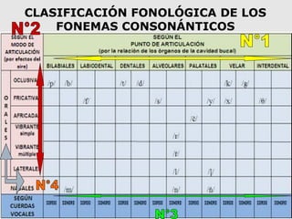 CLASIFICACIÓN FONOLÓGICA DE LOS
FONEMAS CONSONÁNTICOS
 