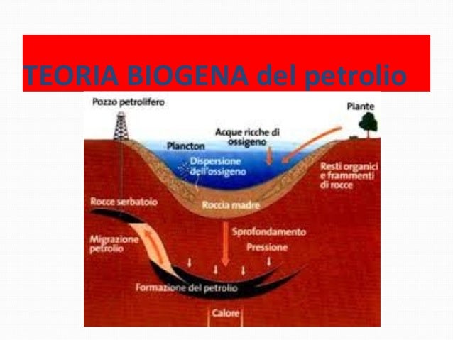 Fonti fossili ortica