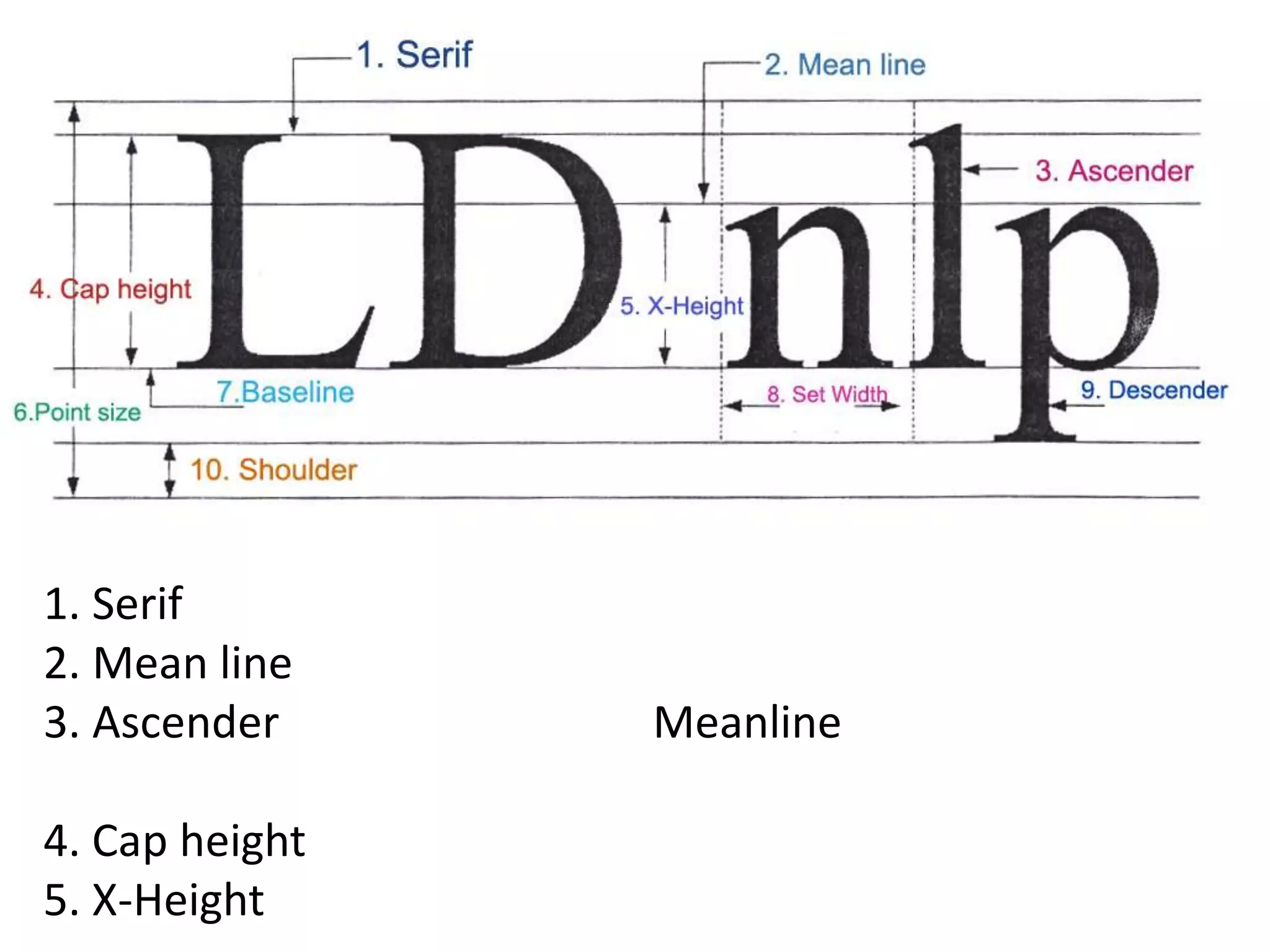 1. Serif
2. Mean line
3. Ascender     Meanline

4. Cap height
5. X-Height
 