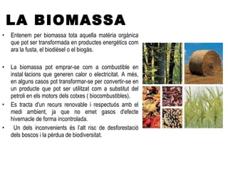 LA BIOMASSA Entenem per biomassa tota aquella matèria orgànica que pot ser transformada en productes energètics com ara la fusta, el biodièsel o el biogàs. La biomassa pot emprar-se com a combustible en instal·lacions que generen calor o electricitat. A més, en alguns casos pot transformar-se per convertir-se en un producte que pot ser utilitzat com a substitut del petroli en els motors dels cotxes ( biocombustibles). Es tracta d'un recurs renovable i respectuós amb el medi ambient, ja que no emet gasos d'efecte hivernacle de forma incontrolada. Un dels inconvenients és l’alt risc de desforestació dels boscos i la pèrdua de biodiversitat.  