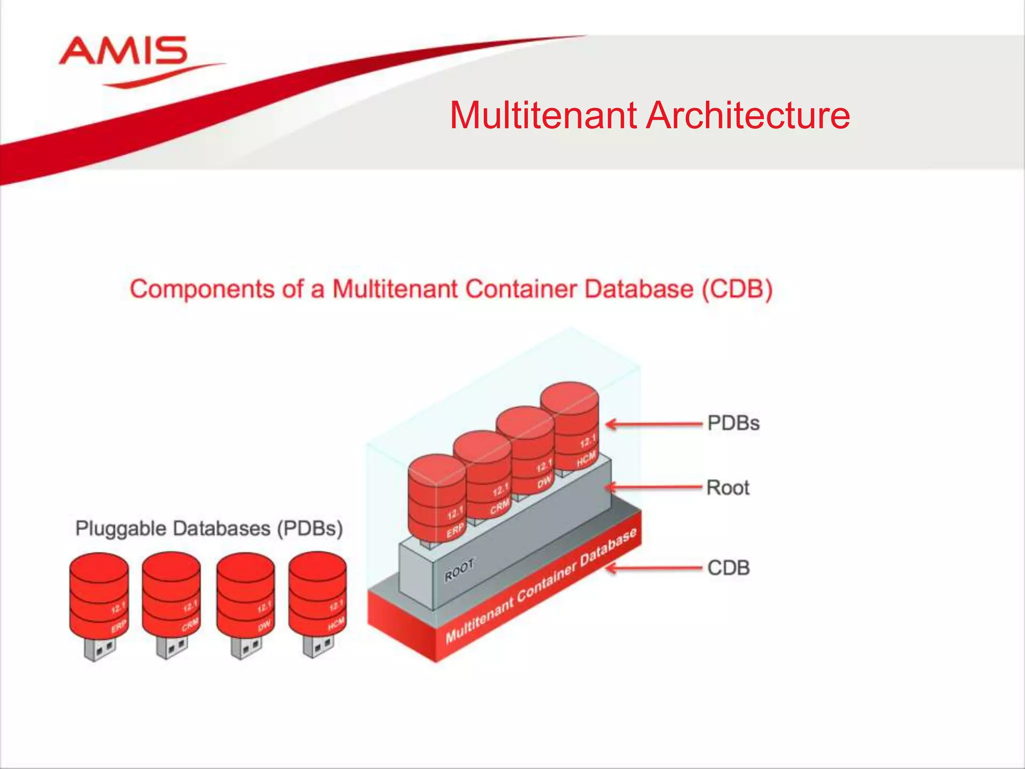 Multitenant Architecture
 