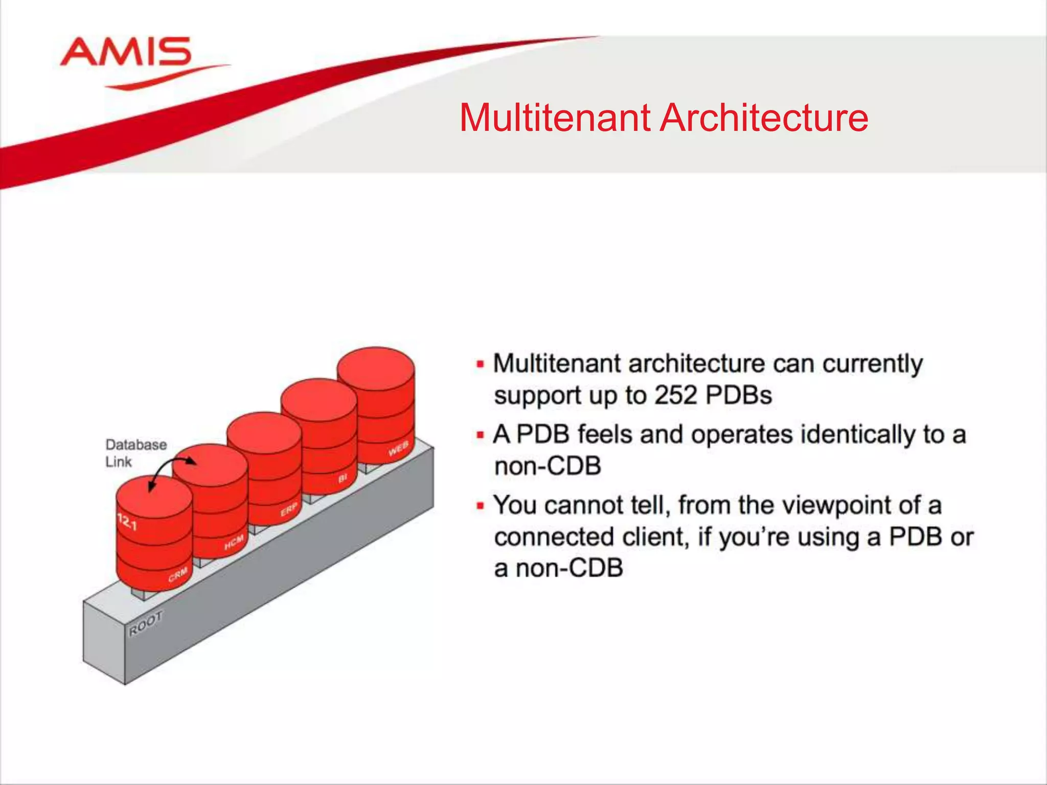 Multitenant Architecture
 