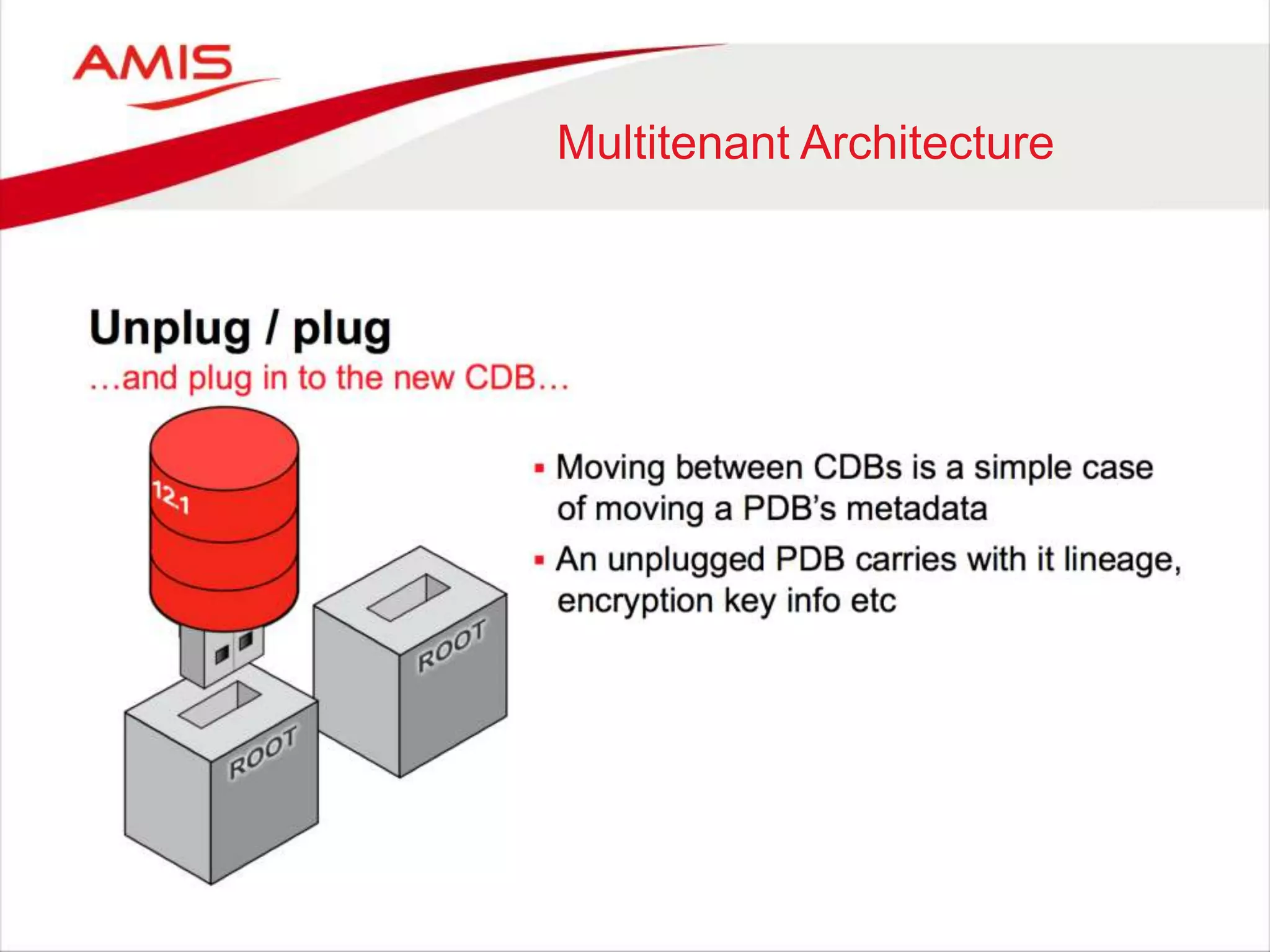 Multitenant Architecture
 