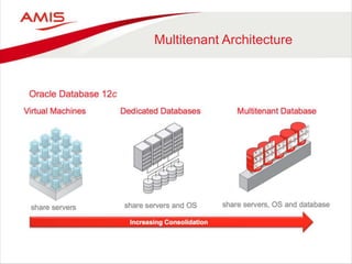Multitenant Architecture
 