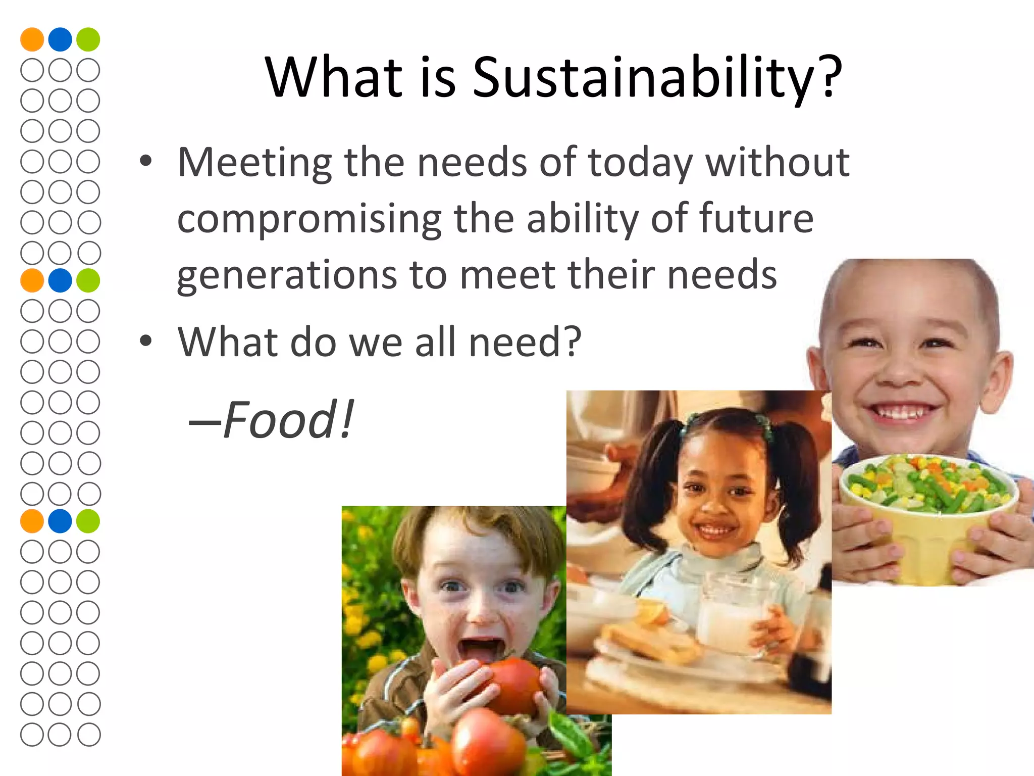 Sustainable Food System PPT sustainable-food-system-ppt