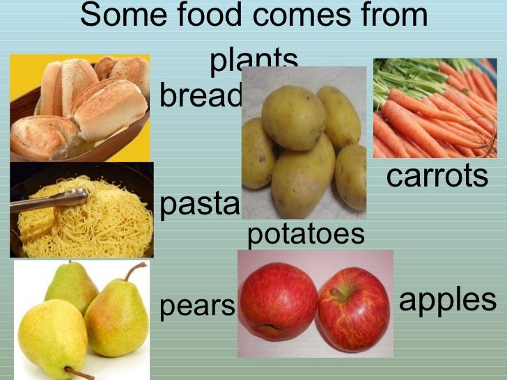 Food