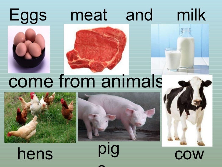 food