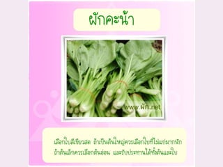 อาหารและโภชนาการ