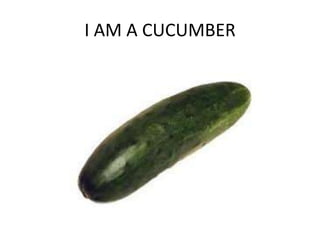 I AM A CUCUMBER
 