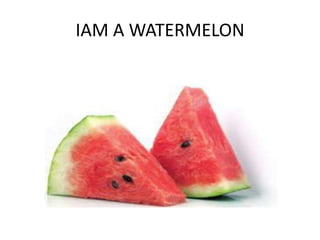 IAM A WATERMELON
 