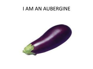 I AM AN AUBERGINE
 