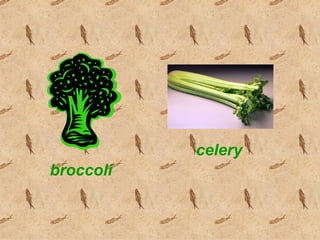 celery
broccoli