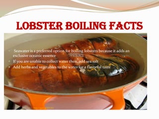 Lobster Boiling Facts

 Seawater is a preferred option for boiling lobsters because it adds an
  exclusive oceanic essence
 If you are unable to collect water then, add sea salt
 Add herbs and vegetables to the water for a flavorful taste




               http://goo.gl/lZUXV
 