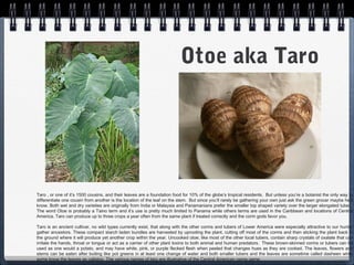 Some local foods in Boquete Panama | PPT