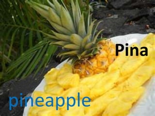 pineapple
Pina
 