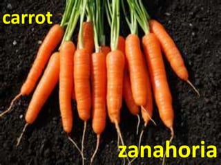 carrot
zanahoria
 