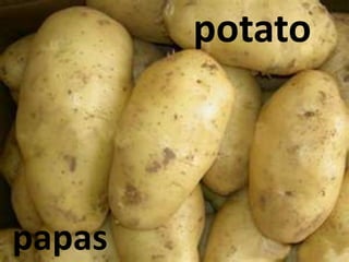 potato
papas
 