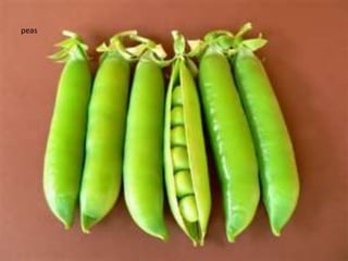 peas
 